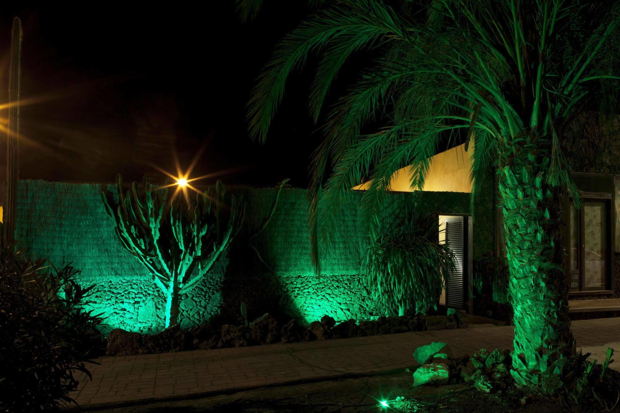קורלחו Apartamentos Laurisilva מראה חיצוני תמונה
