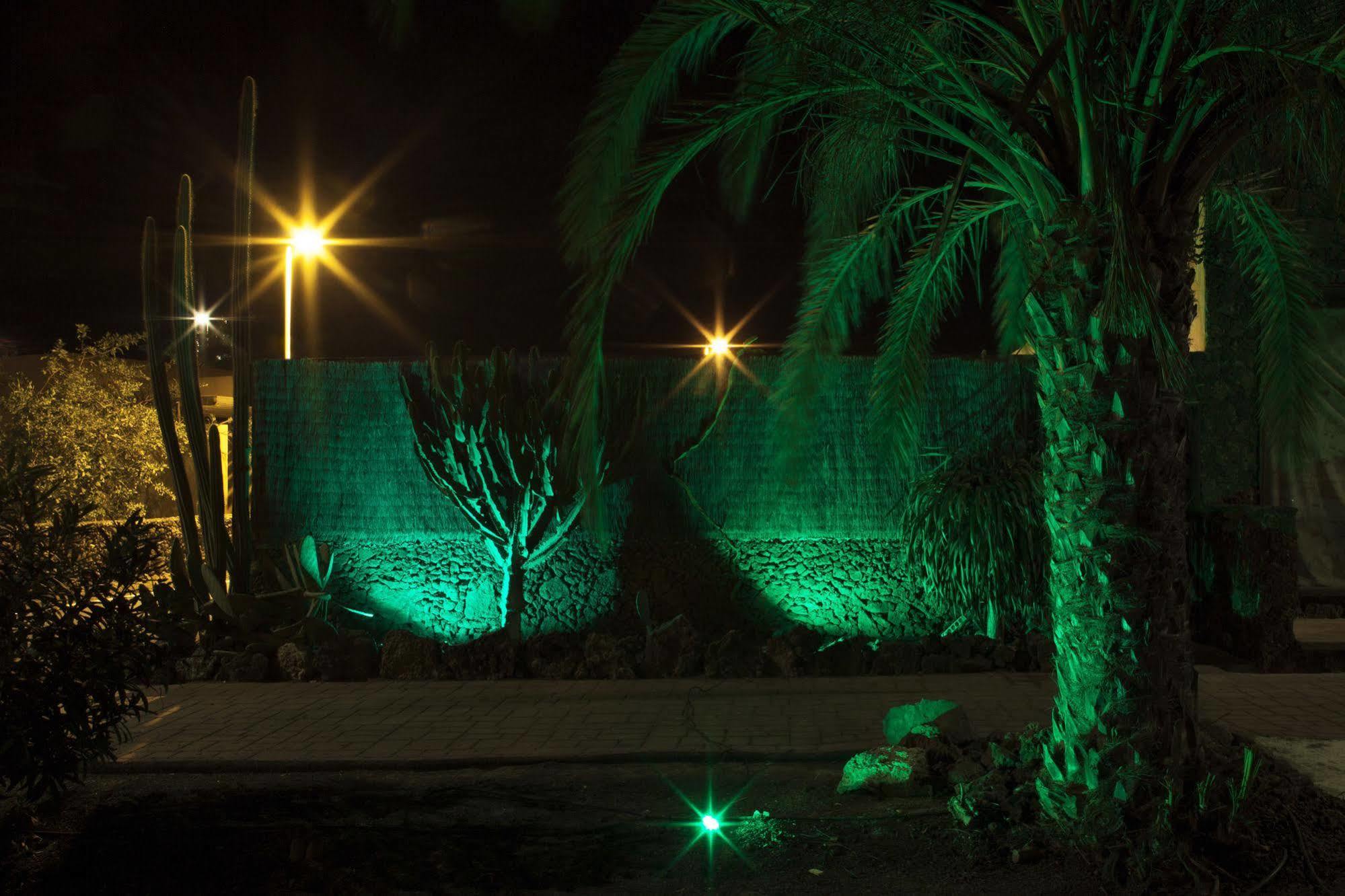 קורלחו Apartamentos Laurisilva מראה חיצוני תמונה